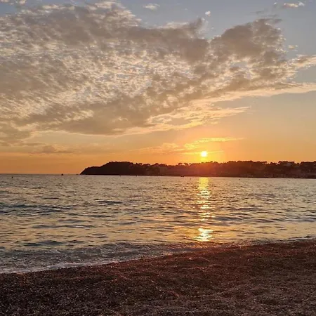 Διαμέρισμα Avec Jardin Proche Six Fours/sanary Six-Fours-les-Plages